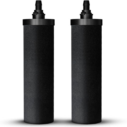 Phoenix Carbon Filters – PFAS & metalen verwijderen